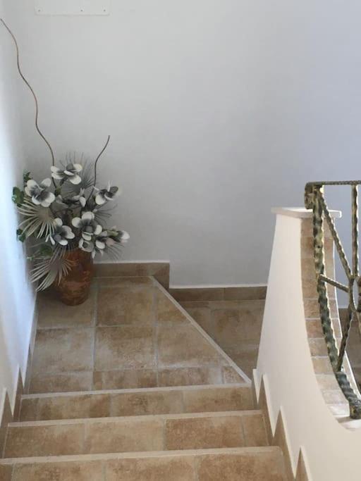 Casa Vacanza Gargano Carpino Extérieur photo